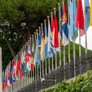 International flags displayed on flagpoles outside building.