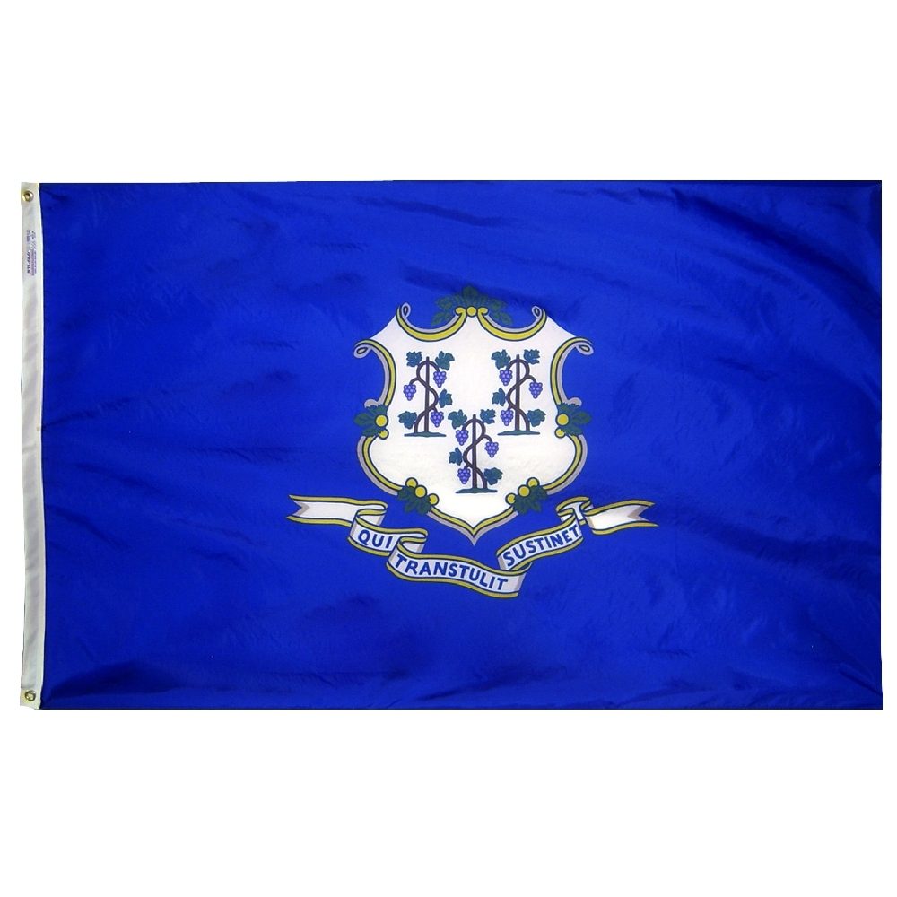 Connecticut state flag on blue background.