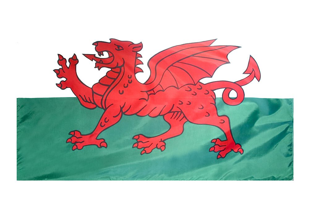 Welsh flag with red dragon on green.