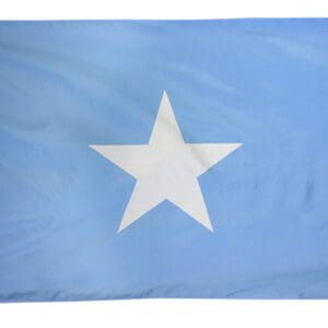 Blue flag with white star centered.